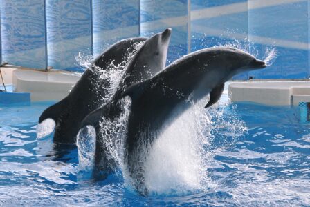 新江ノ島水族館