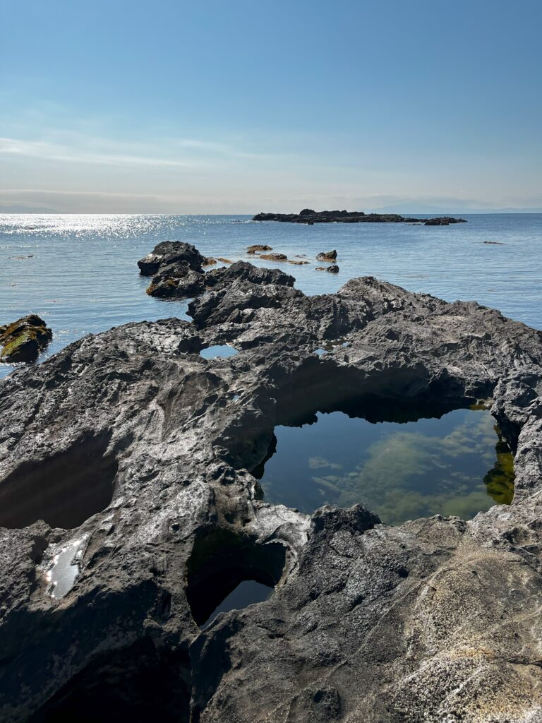 城ヶ島の海岸