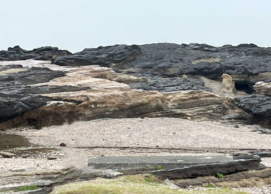 城ヶ島 西崎の磯