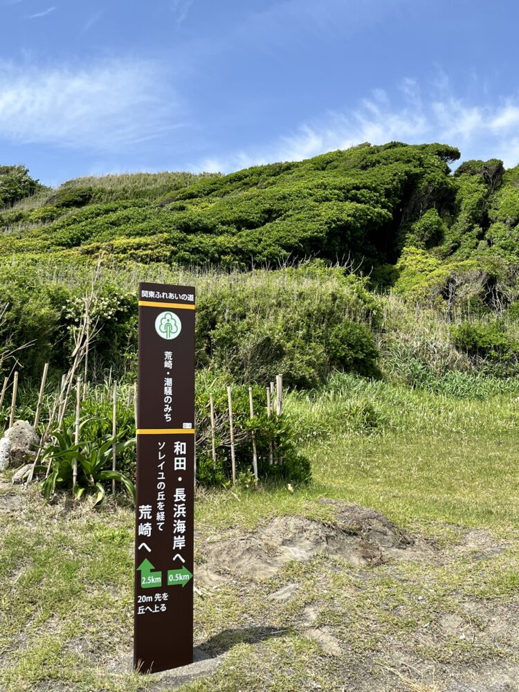 ソレイユの丘海へ繋がる散策路