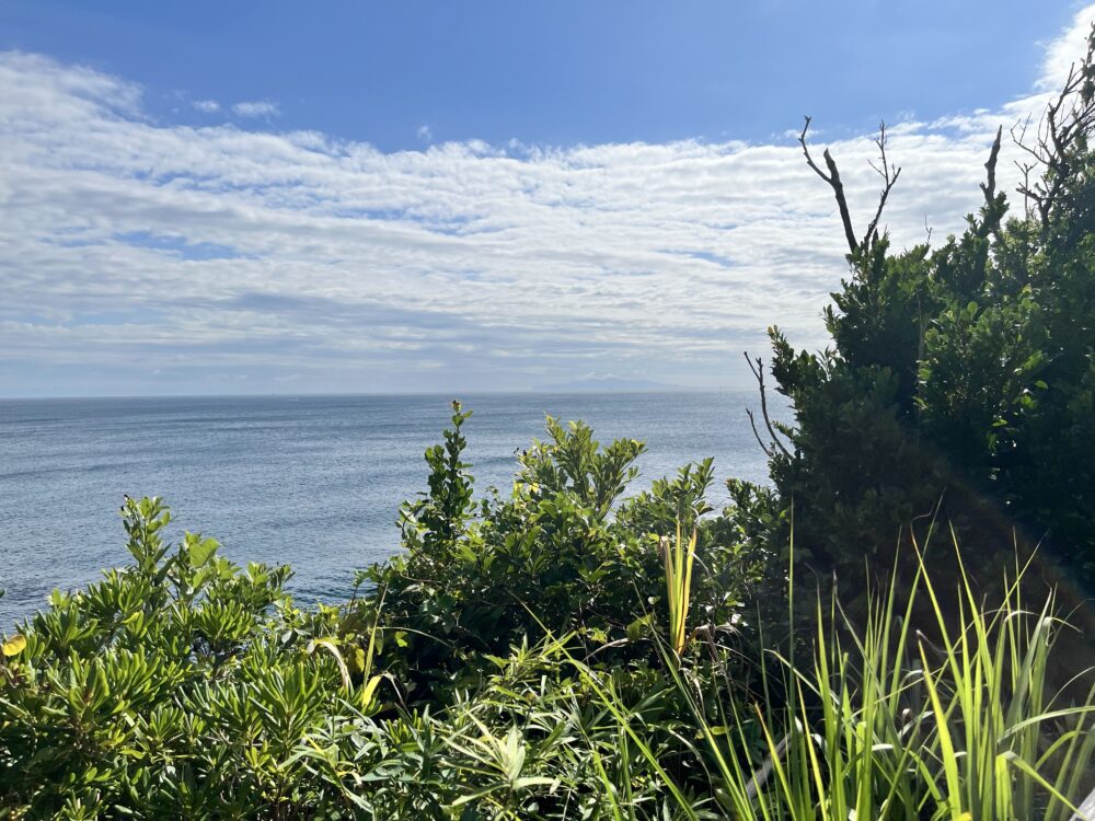 城ヶ島のハイキング道