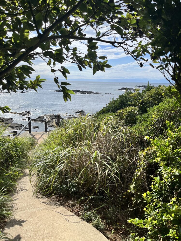 城ヶ島のハイキング道