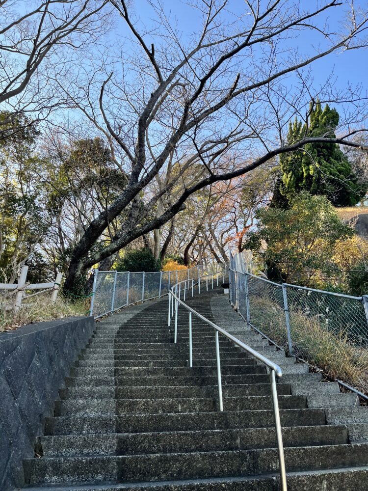 吾妻山公園のハイキング道