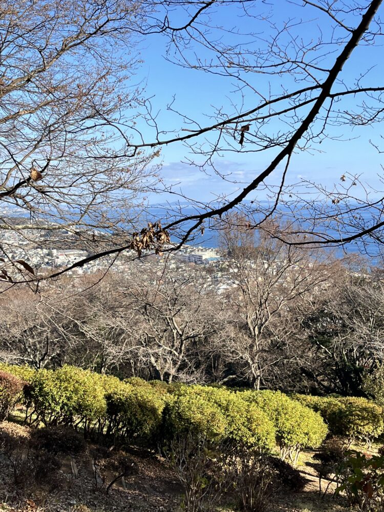 吾妻山公園のハイキング道