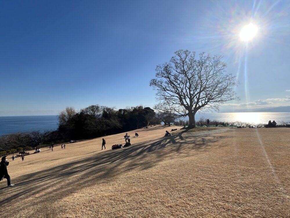 吾妻山山頂の芝生広場