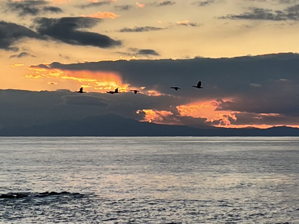 城ヶ島西崎の磯の夕陽