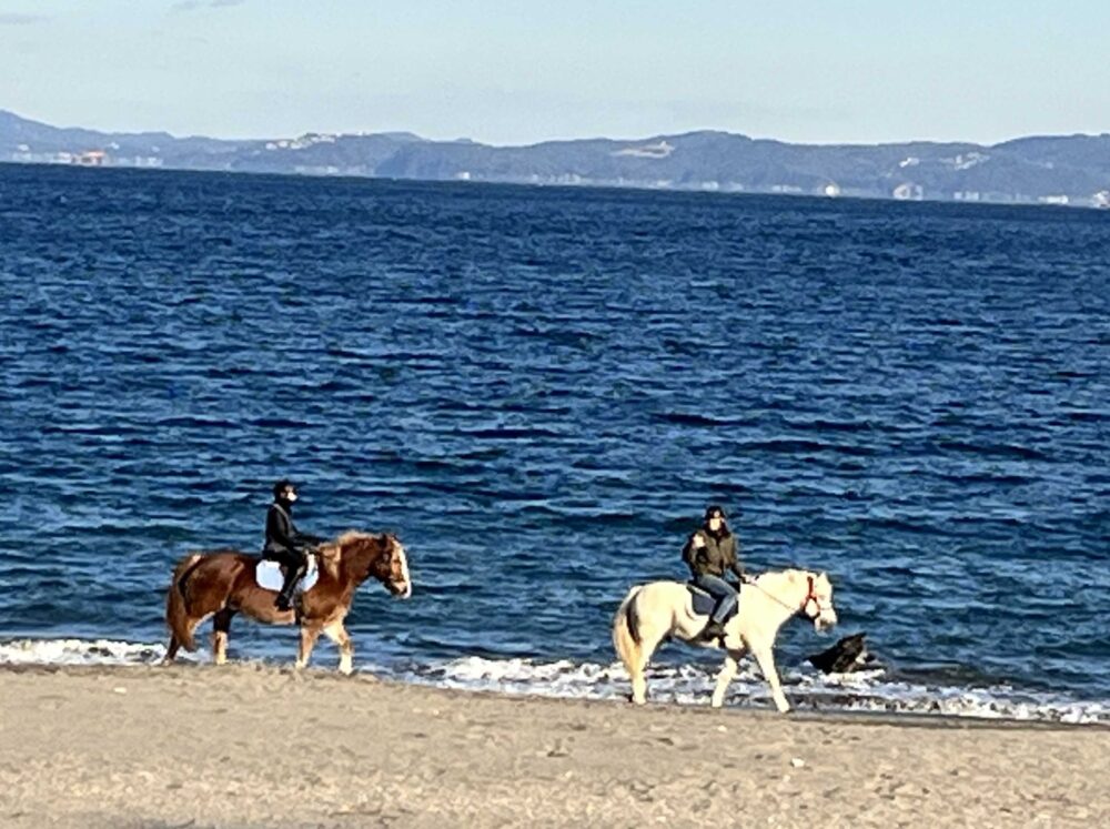 三浦海岸の乗馬